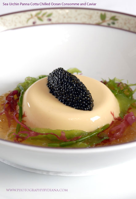 ** This photograph is copyrighted and protected, visit www.photographybydiana.com for more information  **    photo of: Terrance Brennan Sea Urchin Panna Cotta Chilled Ocean Consomme and Caviar 