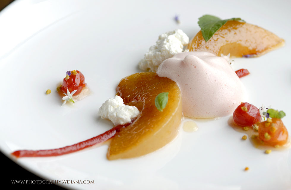 ** This photograph is copyrighted and protected, visit www.photographybydiana.com for more information  **    photo of: Sam Mason dessert 
