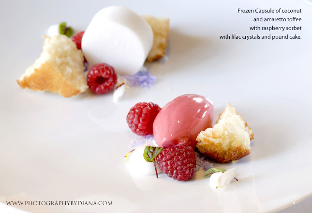 ** This photograph is copyrighted and protected, visit www.photographybydiana.com for more information  **    photo of: Ken Oringer -  Frozen Capsule of coconut and amaretto toffee with raspberry sorbet with lilac crystals and pound cake.  
