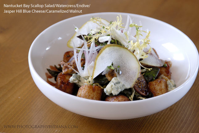 ** This photograph is copyrighted and protected, visit www.photographybydiana.com for more information  **    photo of: Laurent Tourondel Nantucket Bay Scallop Salad/Watercress/Endive/Jasper Hill Blue Cheese/Caramelized Walnut 