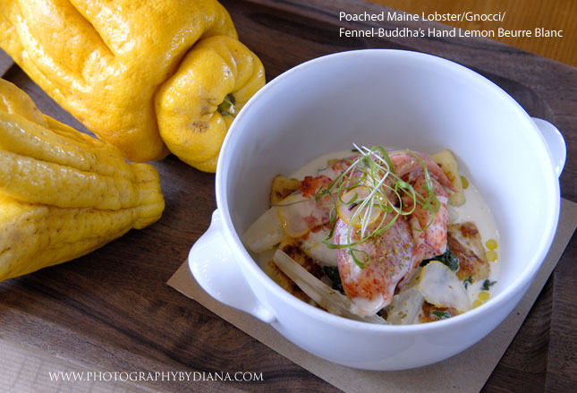 ** This photograph is copyrighted and protected, visit www.photographybydiana.com for more information  **    photo of: Laurent Tourondel Poached Maine Lobster/Gnocci/Fennel-Buddha�s Hand Lemon Beurre Blanc  