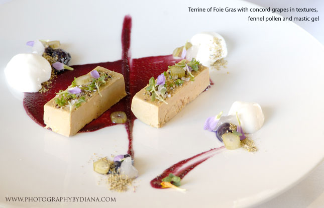 ** This photograph is copyrighted and protected, visit www.photographybydiana.com for more information  **    photo of: Ken Oringer -  Terrine of Foie Gras with concord grapes in textures, fennel pollen and mastic gel 
