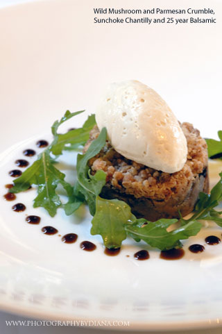 ** This photograph is copyrighted and protected, visit www.photographybydiana.com for more information  **    photo of: Craig Hopson -  Wild Mushroom and Parmesan Crumble, Sunchoke Chantilly and 25 year Balsamic 