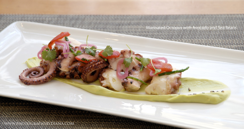 ** This photograph is copyrighted and protected, visit www.photographybydiana.com for more information ** photo of: Marinated Octopus with Avocado and Sea Beans